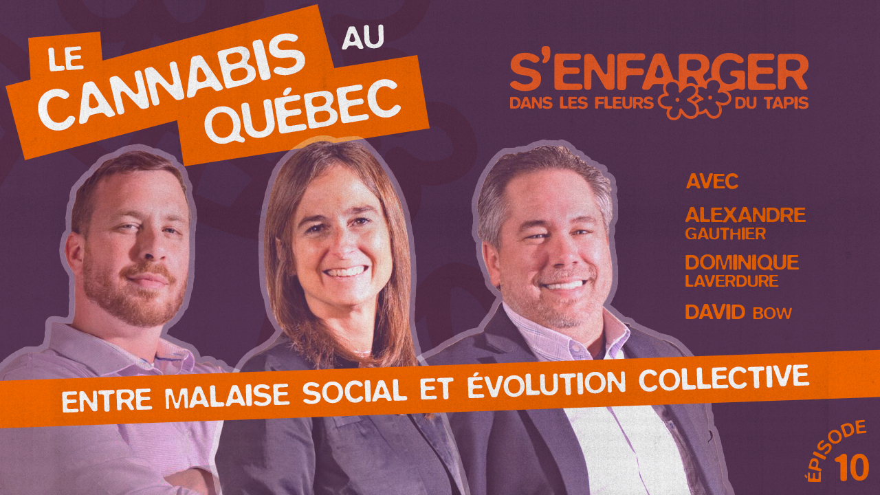 Le cannabis au Québec : entre malaise social et évolution collective