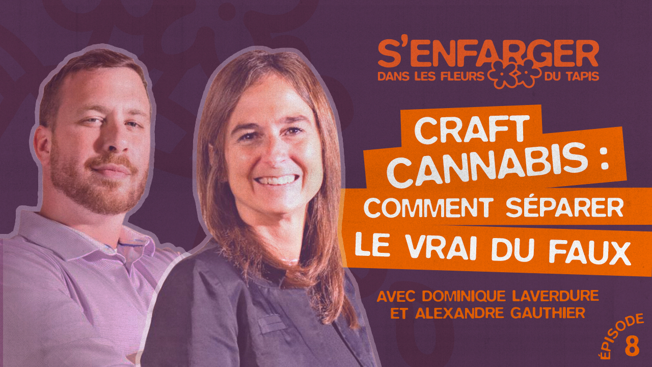 Craft cannabis : comment séparer le vrai du faux